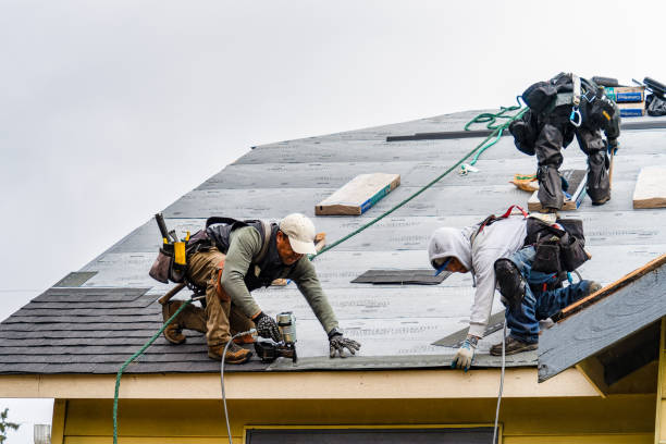 Professional Flat Roof Repair technician working in Larkspur, CA